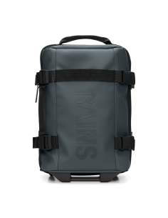 TROLLEY RAINS TEXEL PER CABINA